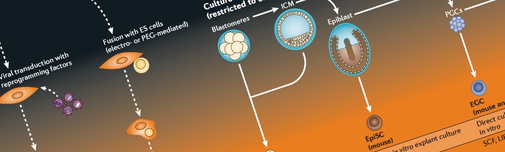 iPS Cell Generation Wallchart