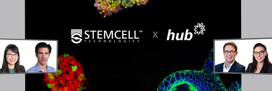 Scientists from Hubrecht Organoid Technology (HUB) and STEMCELL discuss the use of organoids to study infectious disease.