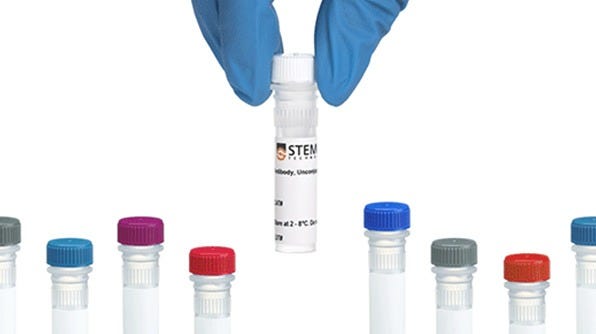 A selection of antibodies is displayed, one antibody vial has been selected from the bunch.