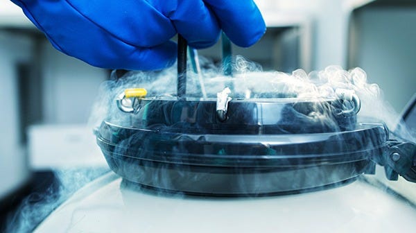 Image showing a liquid nitrogen tank used to cryopreserve cells and tissues.