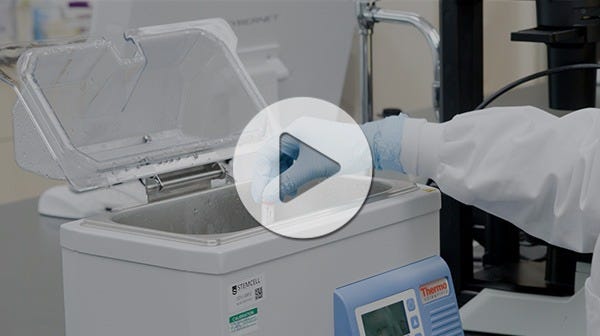 Scientist thawing a vial of cells in a hot water bath.