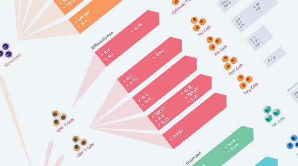 Human Immune Cytokines wallchart.