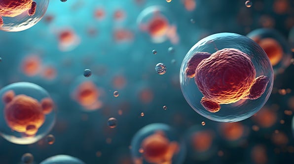 Pluripotent Stem Cell-Derived Model of the Post-Implantation Human Embryo