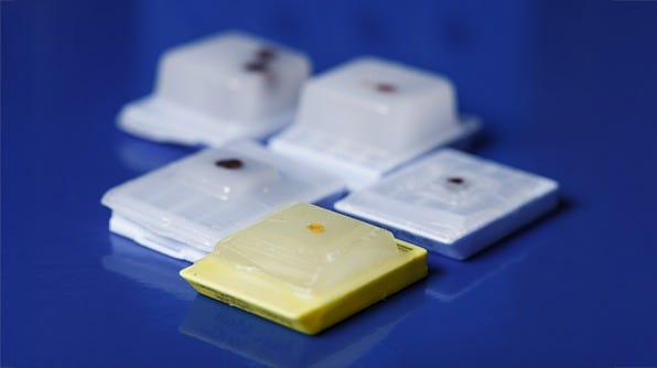 Image of paraffin-embedded human tissue samples.