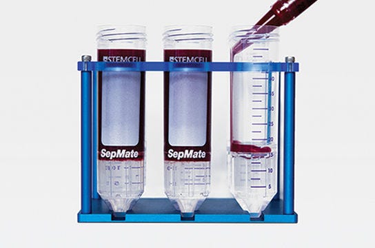 Cell isolation from whole blood using RosetteSep™ and SepMate™