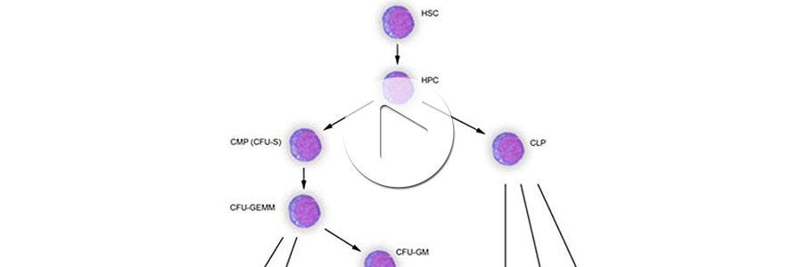 images/product-type/cytokines-col1b.jpg