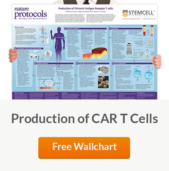 Free Wallchart
