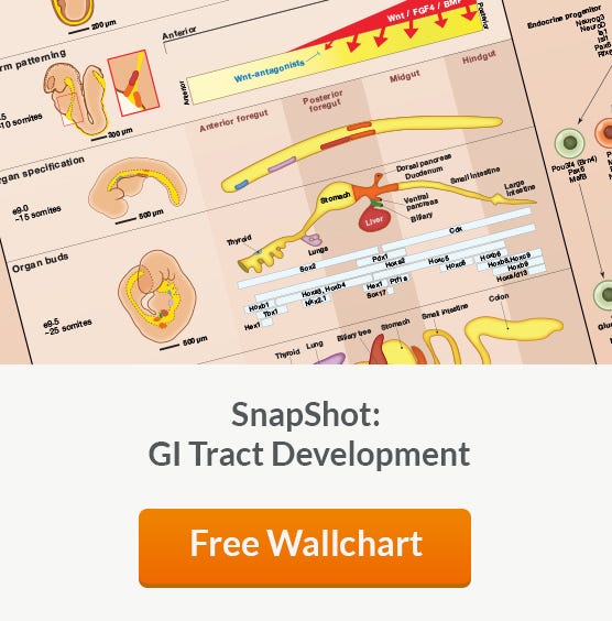 Free Wallchart