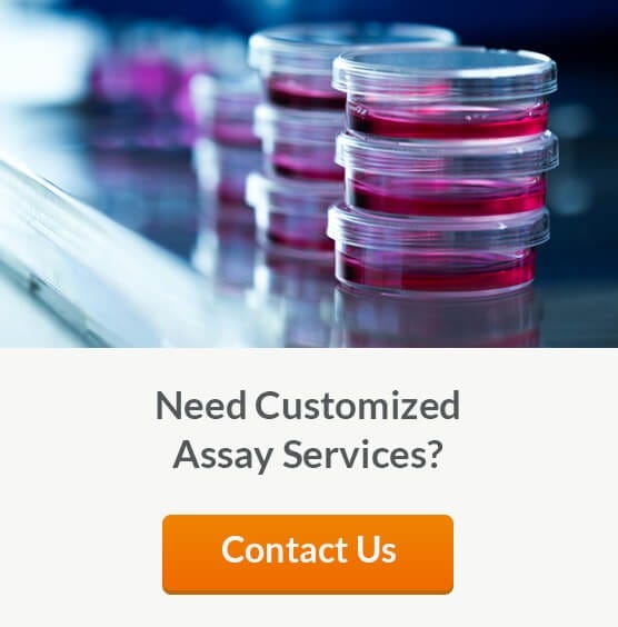 Contract Assay Services (CAS) Provides Standardized and Customized Assays and Toxicity Testing