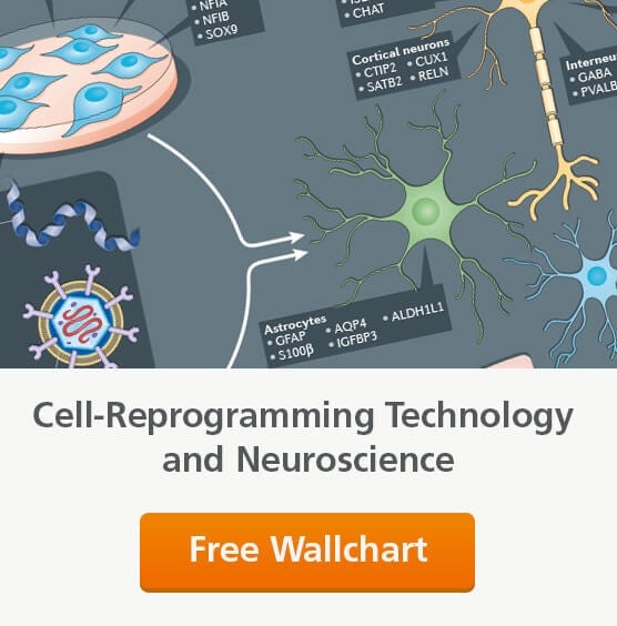 Request a free wallchart on cell-reprogramming technology and neuroscience.