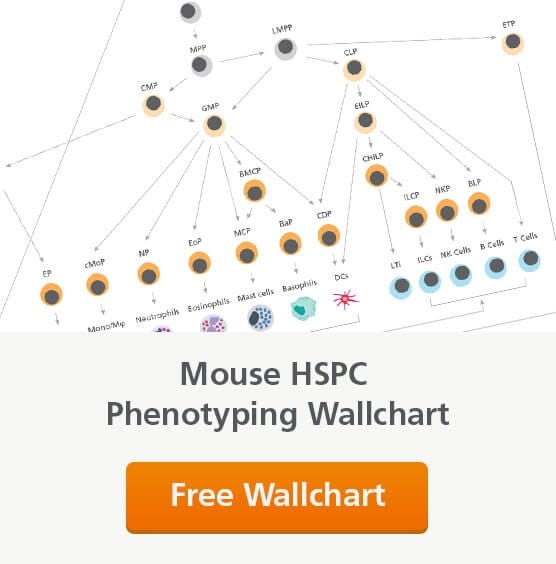 Request a Free Mouse Hematopoietic Stem and Progenitor Cell (HSPC) Phenotyping Wallchart
