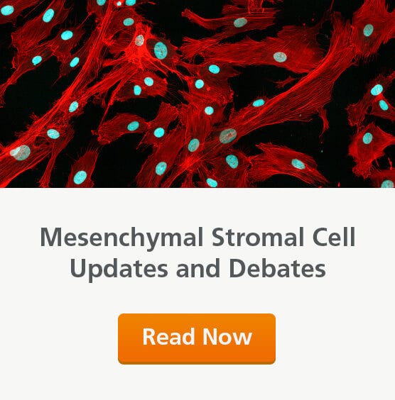 Mesenchymal stromal cells debates and updates