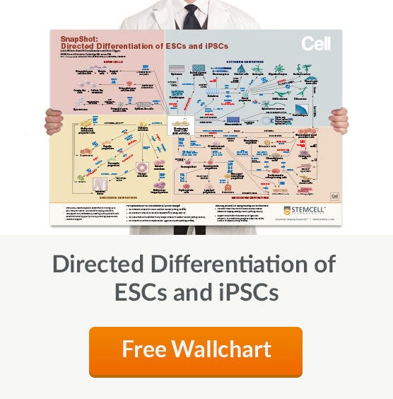 Free Wallchart