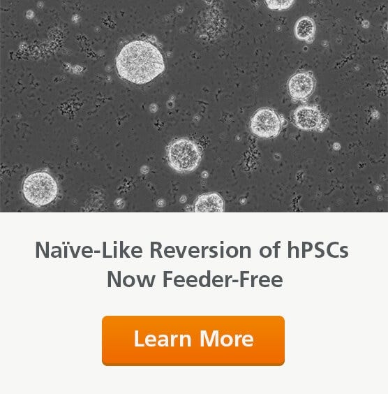 hPSCs Reverted to a Naïve-Like State in RSeT™ Feeder-Free