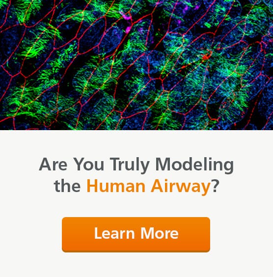 Are You Truly Modeling the Human Airway? Learn more about physiologically relevant models of the in vivo human airway.
