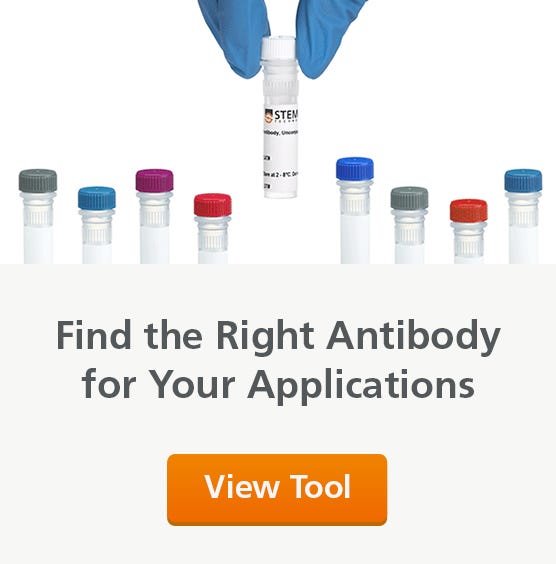 Ensure consistent downstream cell analysis. Select antibodies compatible with STEMCELL products you already use.