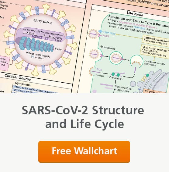 Request a copy of Cell’s COVID-19 wallchart.
