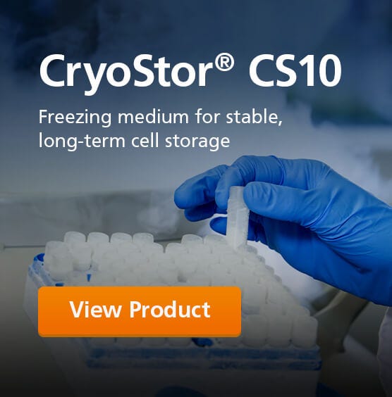 Try CryoStor® CS10, a serum-free freezing medium, for stable and long-term cell storage.