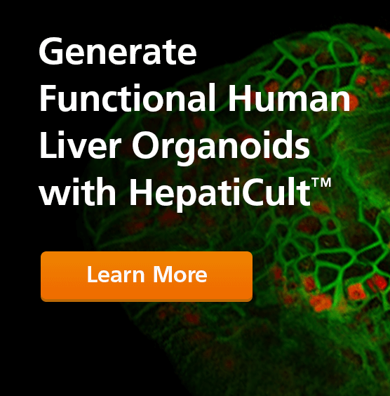Use HepatiCult™ Organoid Kit to reliably generate, expand, and differentiate physiologically relevant human liver organoids.