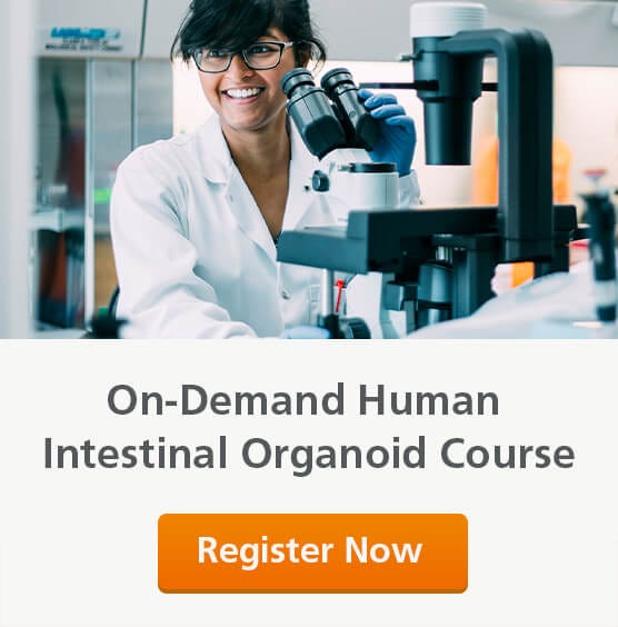 Register now for an on-demand course to culture human intestinal organoids and learn about their downstream applications.