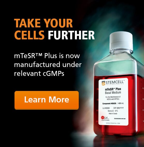 Request a Sample of mTeSR™ Plus: The New Standard
