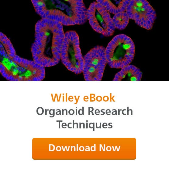 Download the new e-book on organoid technologies, published in collaboration with Wiley.