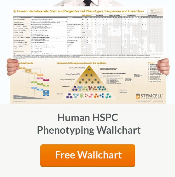 Free Wallchart