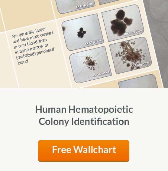 Free Wallchart
