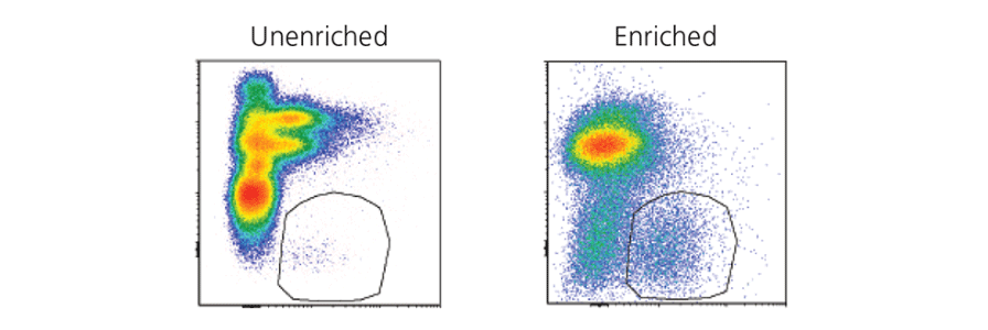 Enrichment of innate lymphoid cells