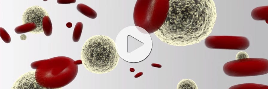 Isolation of nucleated cells from whole blood