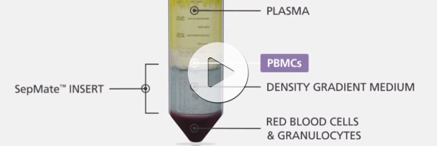 PBMC isolation using SepMate™ tubes