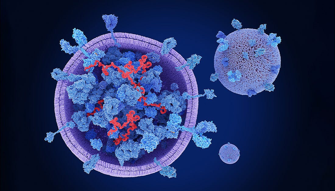 Cross-section of an exosome showing proteins and mRNA