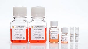 StemSpan™ Cell Culture Media: Generate T and NK cells from human CD34+ cells in stroma-free conditions.