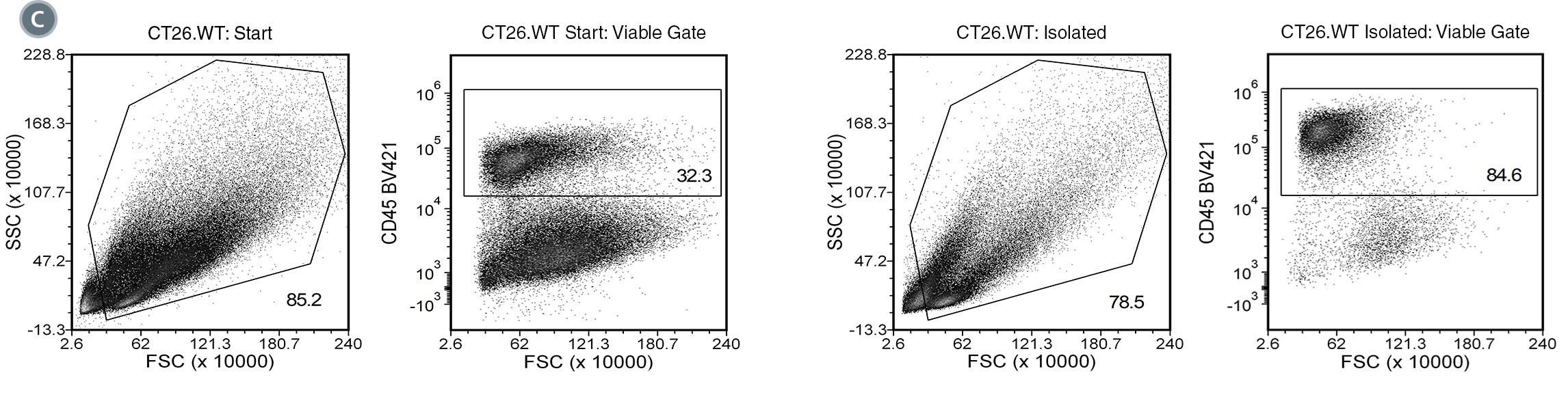 Using the EasySep™ Mouse TIL (CD45) Positive Selection Kit, the CD45+ TIL purities of the start and final isolated fractions are 14.8% and 95.2%, respectively for B16-F10 tumor single-cell suspension, 37.6% and 93.0%, respectively for 4T1 tumor single-cell suspension, and 32.3% and 84.6%, respectively for CT26.WT tumor single-cell suspension.