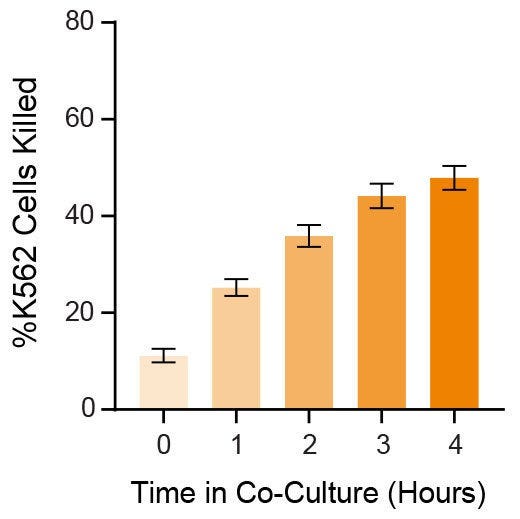 Cytotoxicity of Expanded Natural Killer (NK) Cells Co-Cultured with K562 Cells