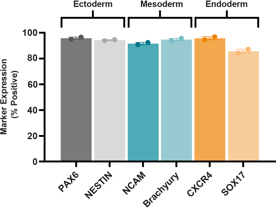 Bar graph quantifying gene expression of 6 trilineage markers by flow cytometry